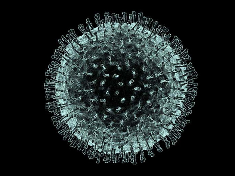 a coronavirus cell