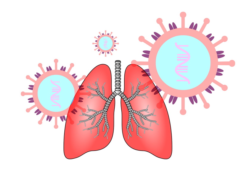 animation of coronavirus cell infecting the lungs