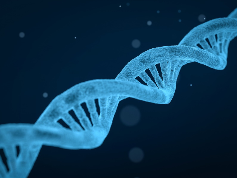 dna strand to show how anorexia may be linked to metabolism