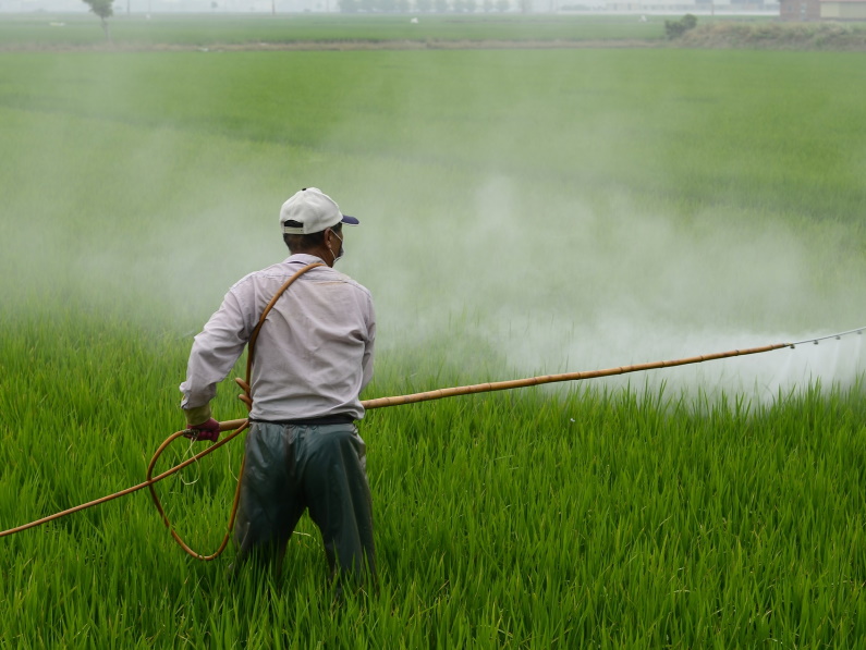 man spraying pesticides in field