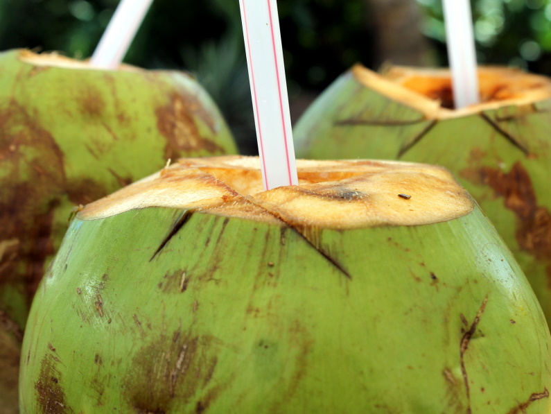 three fresh green coconuts with straws