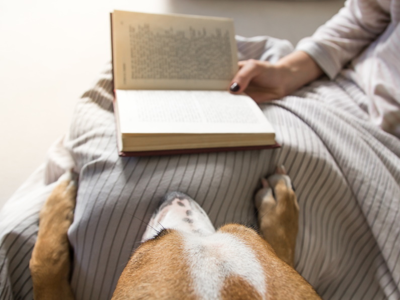 A person reading a book in bed next to a dog